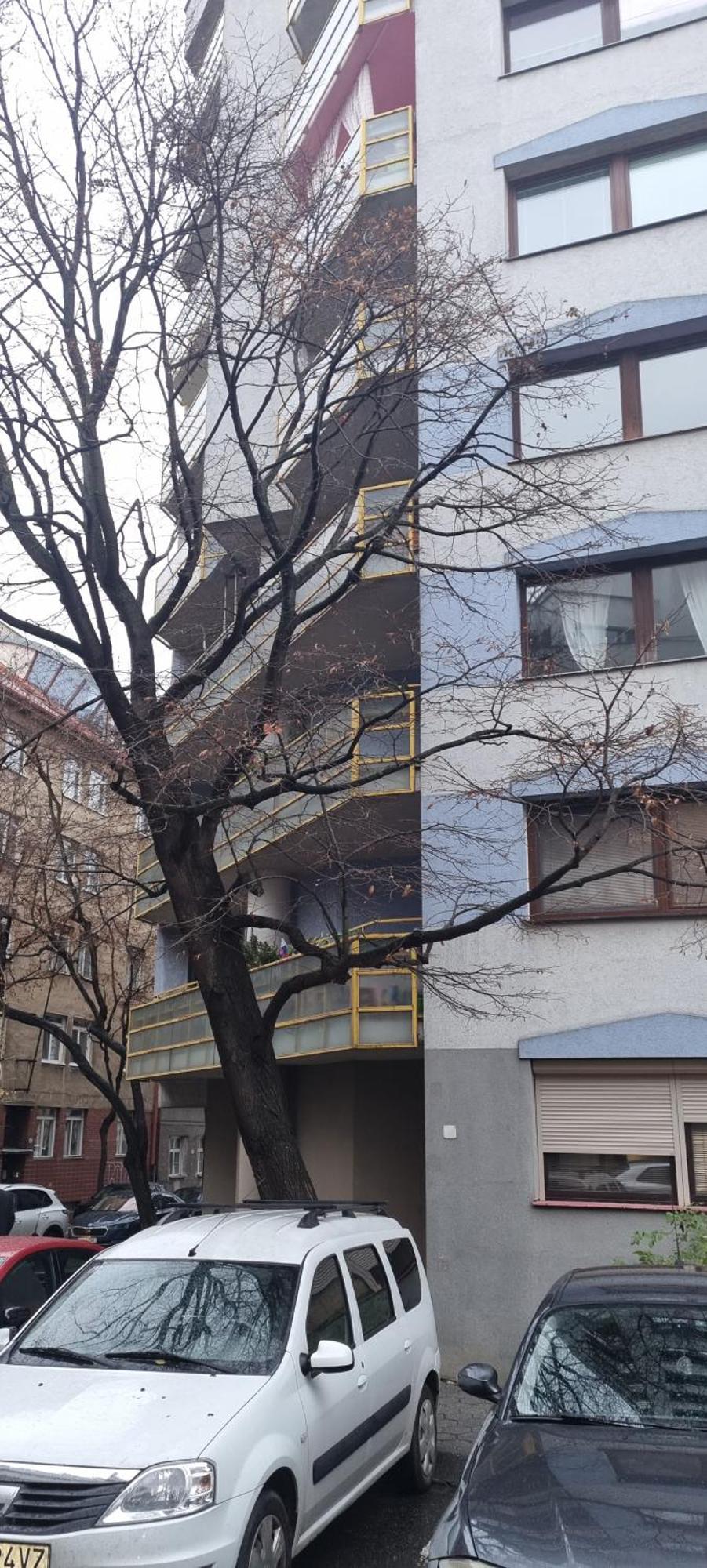 Huge Apartment Next To Train Station Close To The City Center Братислава Екстериор снимка